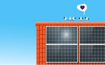 Are solar panels worth it?