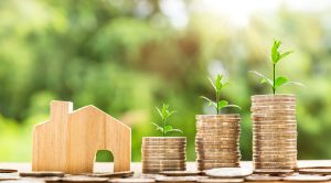 Stacks of Coin and Green Plants