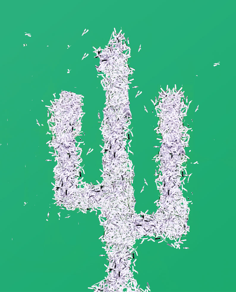 shredded-cactus Greater Tucson Fire Foundation Safe Shift Estate Sale Resale Store logo